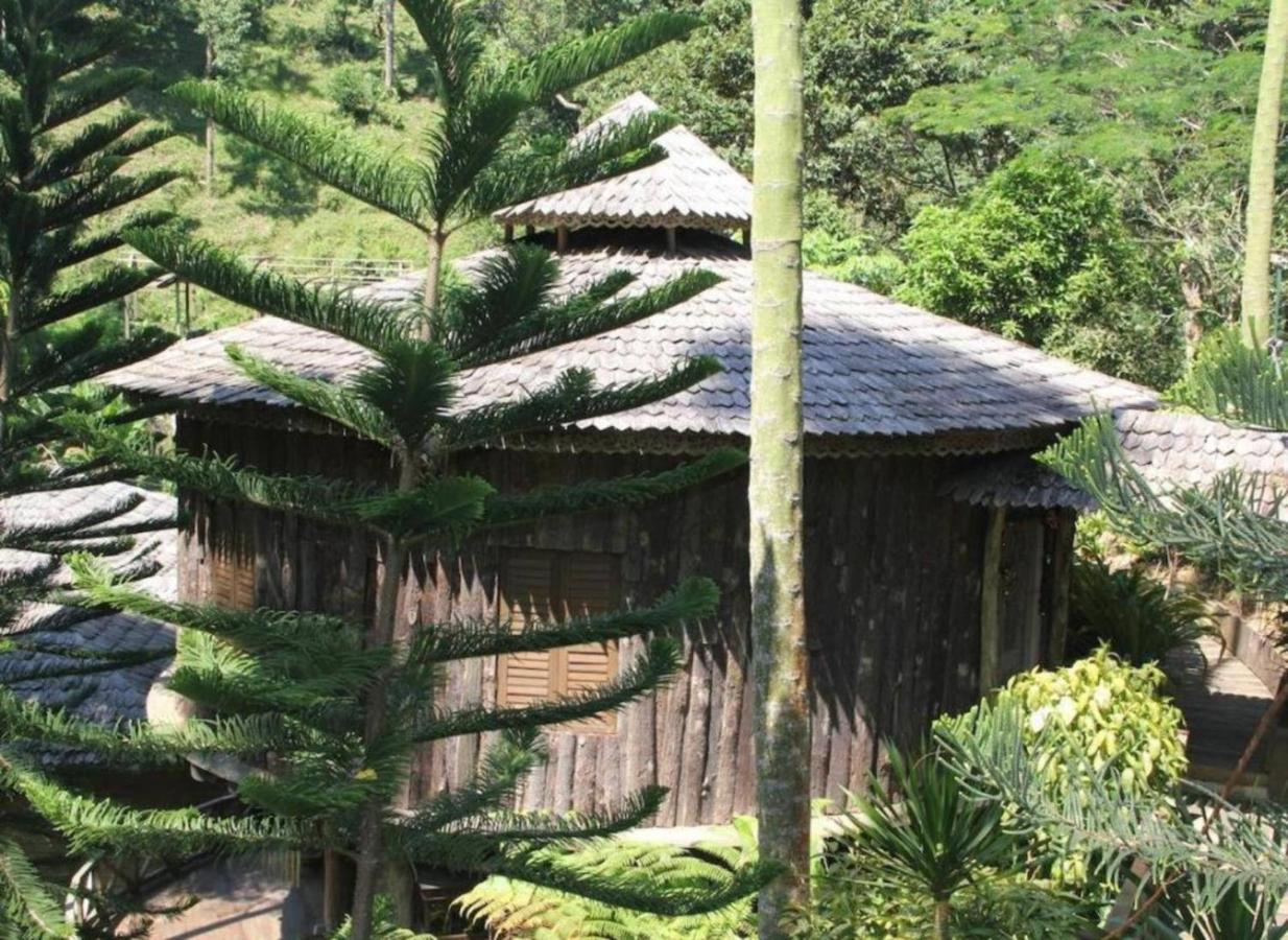 Fig Tree Hills Resort Bayan Lepas Bagian luar foto