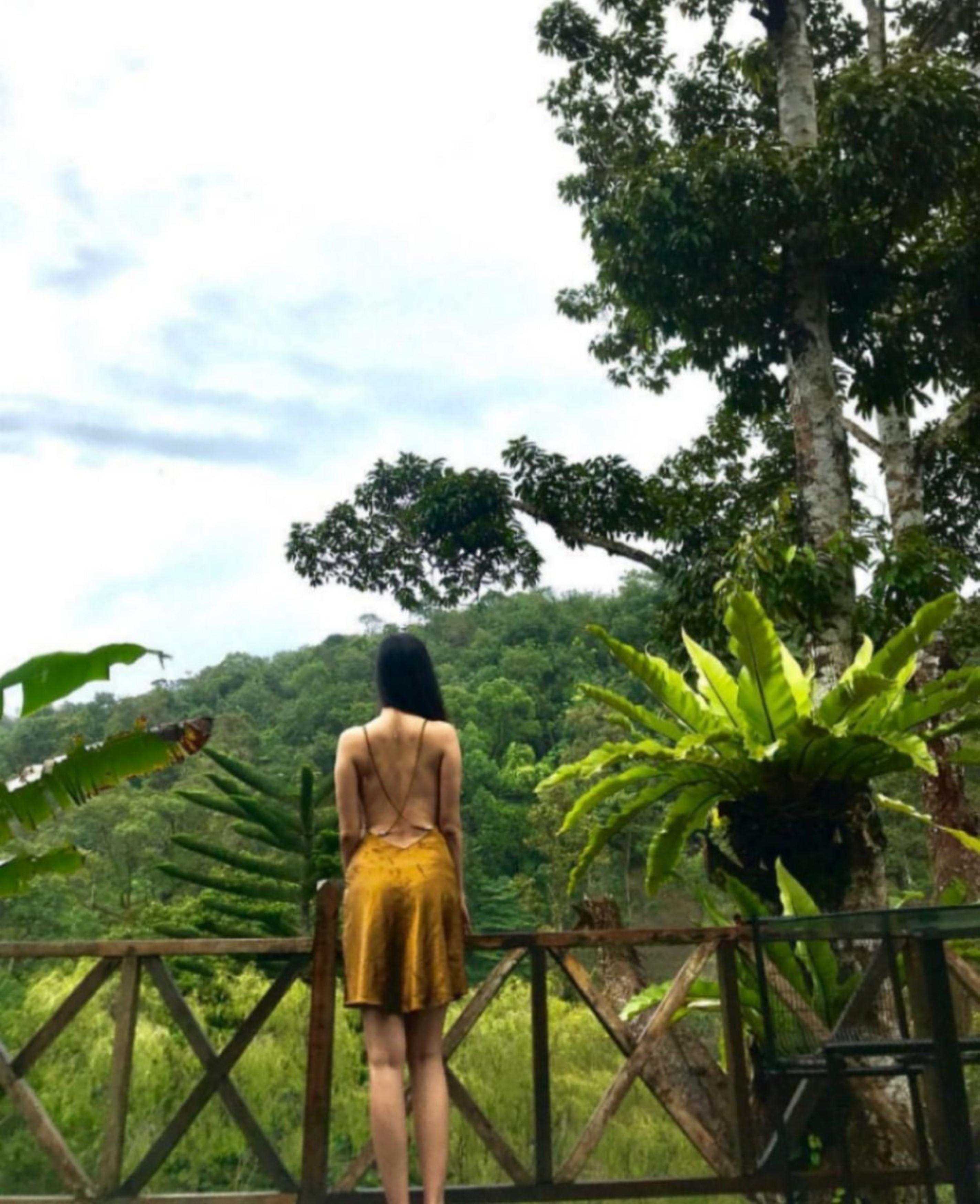 Fig Tree Hills Resort Bayan Lepas Bagian luar foto