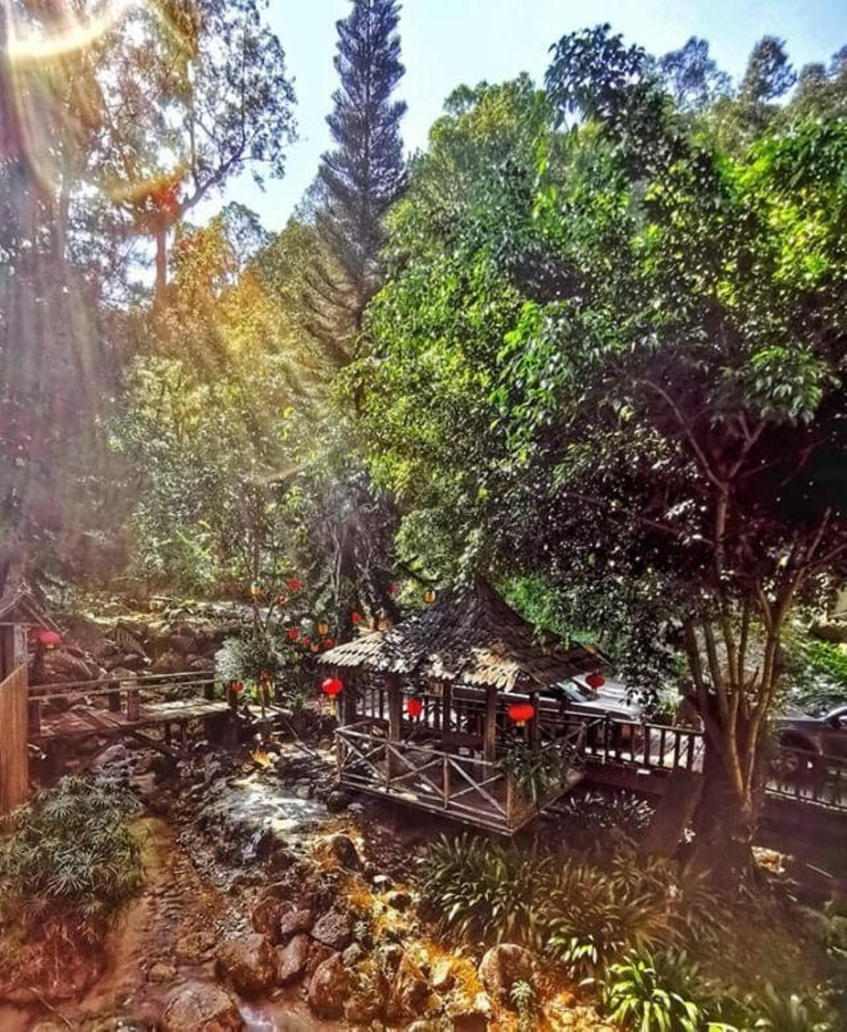 Fig Tree Hills Resort Bayan Lepas Bagian luar foto