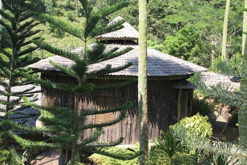Fig Tree Hills Resort Bayan Lepas Bagian luar foto